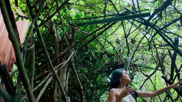 donna esplorando lussureggiante verde foresta, toccante vite, circondato di naturale fogliame. video