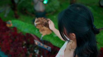 Person petting a small owl on the hand in a lush garden setting. video