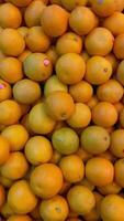 bunt Markt Anordnung von Mangos und Orangen. hell Mangos und Orangen beim ein frisch Markt, Anzeigen ein mischen von reif tropisch Früchte bereit zum Verkauf. video