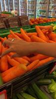 Choosing Fresh Carrots at Supermarket video