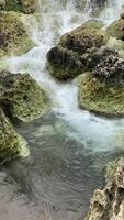 onderzoeken een rustig van een klein waterval met Doorzichtig, kalmte water, gelegen in de buurt de strand, met boeiend rotsachtig formaties verbeteren haar schoonheid. video