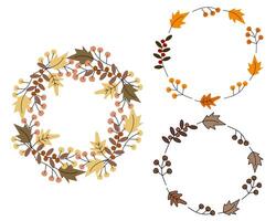 Abstract circle frames of autumn leaves and twigs in trendy shades Greetings design idea Copy space vector