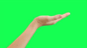 Hand on green background, green screen of hand video