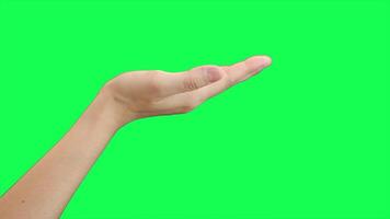 Hand on green background, green screen of hand video