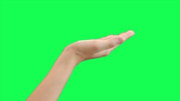 Hand on green background, green screen of hand video