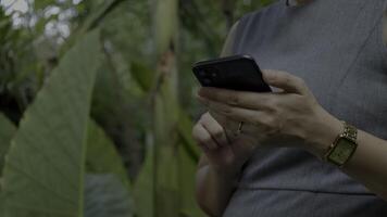 Hand holding phone, person using a smartphone video