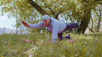 contento anziano nonno uomo esercizio, fabbricazione yoga esercizio, praticante gli sport formazione a parco video