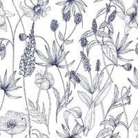 Hand drawn monochrome floral seamless pattern with gorgeous vintage wild flowers, herbs and herbaceous plants on white background. Botanical illustration in antique style. vector