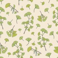 botánico sin costura modelo con verde gingko biloba árbol hojas y semillas fondo con planta partes mano dibujado en ligero antecedentes. ilustración para textil imprimir, fondo de pantalla, envase papel. vector