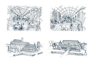 haz de a mano dibujos de invernaderos lleno de selva plantas. conjunto de bocetos de casas de vidrio con palma exótico arboles creciente en ollas. interior y exterior puntos de vista. monocromo ilustración. vector