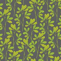 Botanical seamless pattern with fenugreek stems and leaves on gray background. Natural backdrop with green plants hand drawn in antique style. illustration for wallpaper, textile print. vector