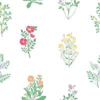 Elegant botanical seamless pattern with meadow medicinal herbs on white background. Beautiful wild flowers and blooming herbaceous plants. Colorful illustration for fabric print, wallpaper. vector