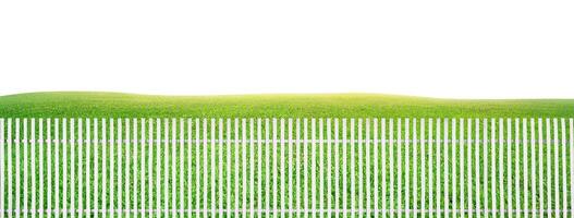 White wooden fence, green grass background photo