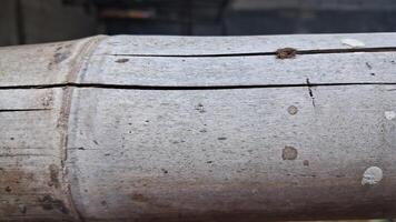 a close up of a wooden pole with a hole in it photo