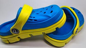 a pair of blue and yellow sandals photo