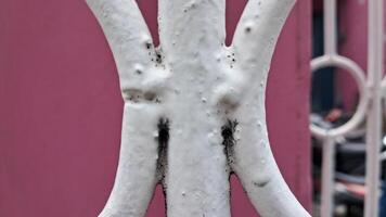 a close up of a white iron fence photo