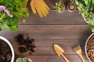 jardinero concepto, de madera mesa fondo, tomar cuidado en hogar jardín. plano poner, Copiar espacio para tu texto. pasatiempo de planta, jardinería o planta de casa interior. cactus en cerámico maceta, suelo, guantes, rastrillo, foto