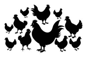 Hen silhouette bundle illustration vector