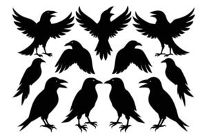 Crow silhouette bundle illustration vector