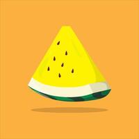 watermelon fruit orange green vector