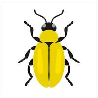 animales insecto amarillo negro mosca vector