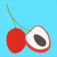 lychee fruit red blue food vector