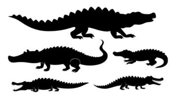 silueta de cocodrilo ilustración vector