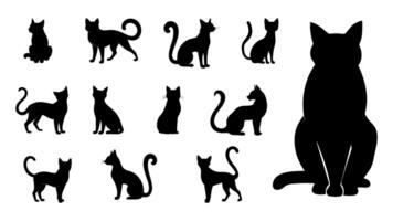 Silhouette of cat illustration vector