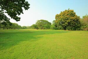 The park has fresh green lawns. On a sunny day photo