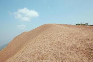 yellow field on top of the mountain at Monjong photo