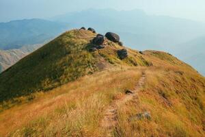 A mountain view full of grass In the evening photo