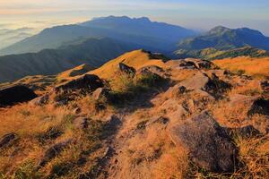 The grassland on the hills in the morning photo