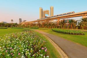 A park full of flowers With electric trains and buildings in the background photo