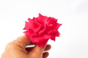 Exquisite Closeup of Rosa lucieae Franch Flower Showcasing its Intricate Petals and Timeless Beauty. photo