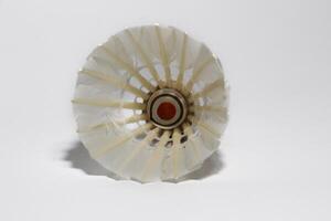 White Feather Shuttlecocks Badminton isolated on white. photo