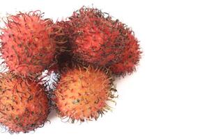 rambután taxonómico nombre, nefelio lappaceum es un medio tamaño tropical árbol en el sapindaceae familia foto