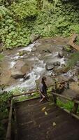 girl going down to the creek from a big ladder in the middle of the jungle video