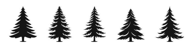 Pine tree silhouette set. Spruce trees black silhouettes. vector