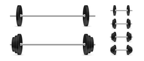 Barbells and dumbbells realistic set. Barbell and dumbbell illustration. Weightlifting concept. vector