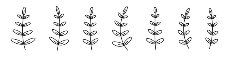 Branches set. Floral brenches set. Floral botanical line art. Decorative elements leaves. vector