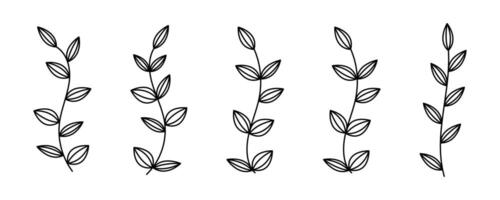 Floral botanical line art. Floral brenches set. Decorative elements leaves vector