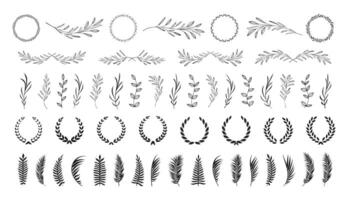 Floral twigs and wreath collection. Beautiful floral elements. Decorative leaves and branches. vector