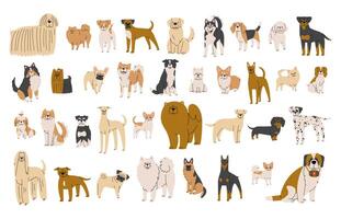 Dogs Collection 3 on a white background, illustration. vector