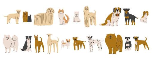 Dogs Collection 2 cute on a white background, illustration. vector