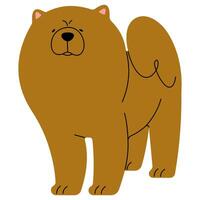 Chow Chow cute on a white background, illustration. vector