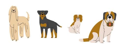 Dogs 8 cute on a white background, illustration. vector