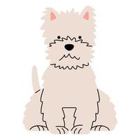 West Highland White Terrier cute on a white background, illustration. vector