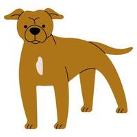 Pitbull cute on a white background, illustration. vector