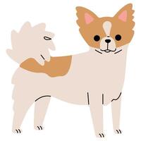 Papillon cute on a white background, illustration. vector