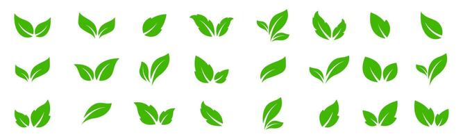 Green leaves collection. Green leaf icons. Leaves icons. Green leafs illustration. Leave icon set. vector